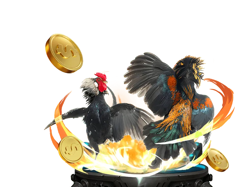 Các phương thức nạp rút tiền tại daga tv