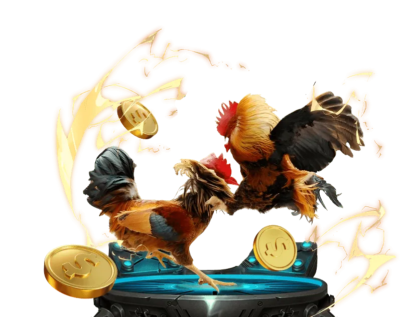 Định vị thương hiệu daga tv